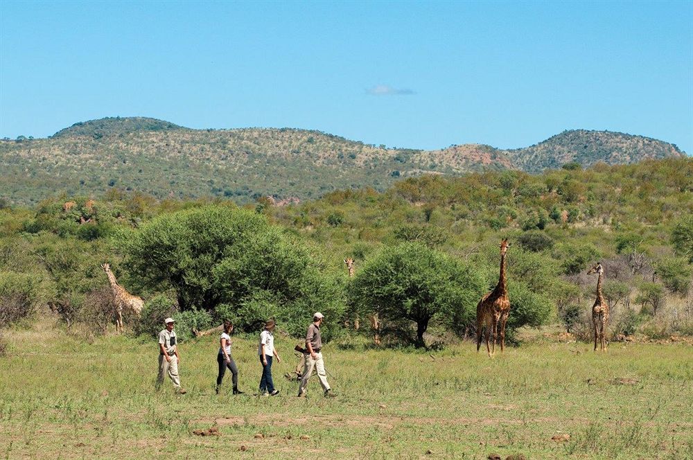 Madikwe Safari Lodge Melorane Exterior photo