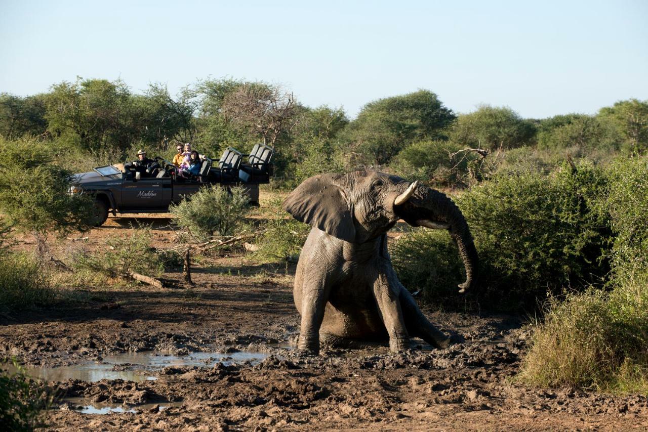 Madikwe Safari Lodge Melorane Exterior photo